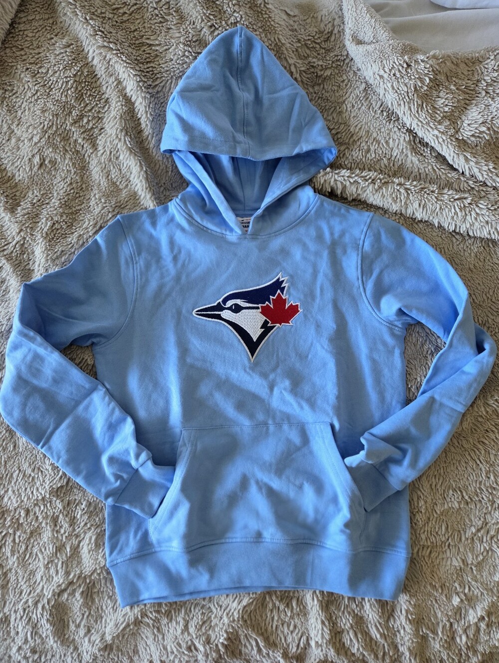 NWT Embroidered Blue Jay kids hoodie